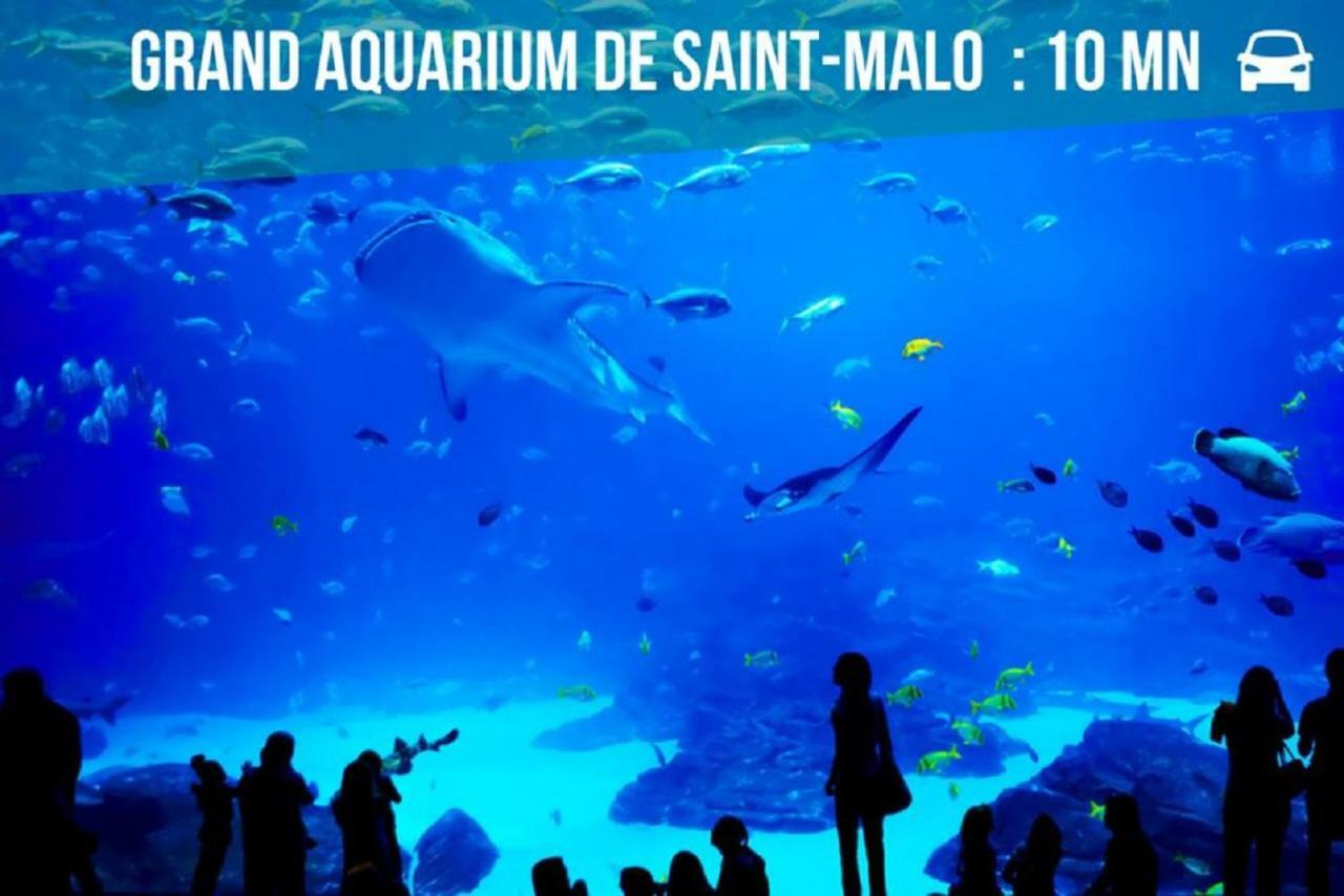 Logement Entier Saint Malo Vue Mer, Proche Ferry, Commerces Et Plage Solidor 50 M 외부 사진